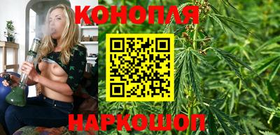 дмт Пенза