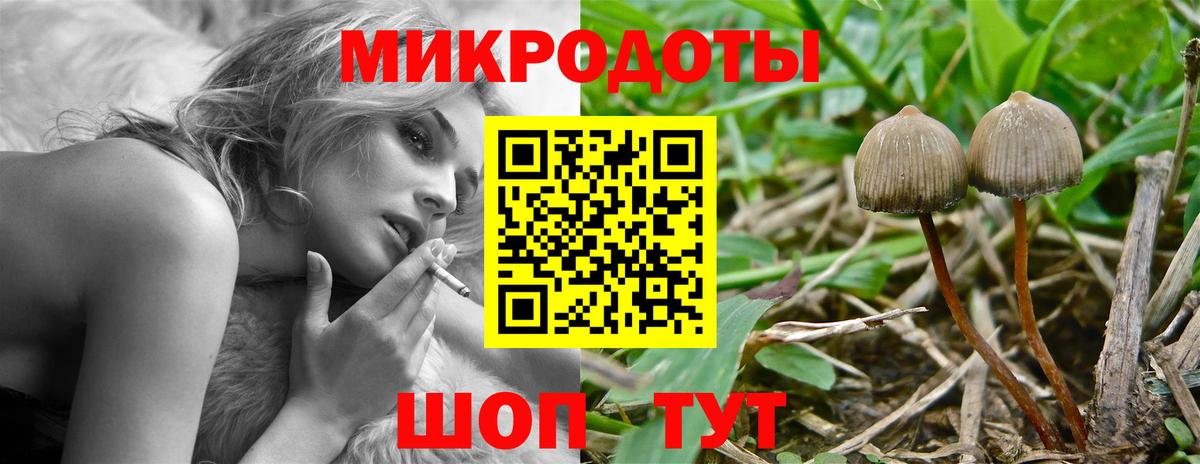 как найти наркотики  Вход с VPN  Новочеркасск  Псилоцибиновые грибы Psilocybe 